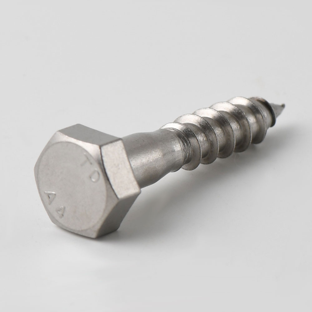 A2 stainless DIN 571 hex wood screw 10 x 100